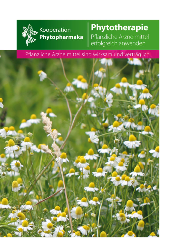 Infobroschüre Phytotherapie